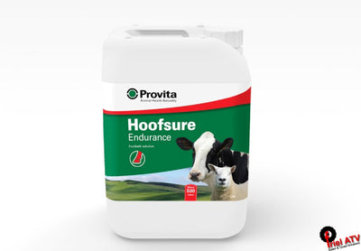 Hoof care products, Animal health products, cattle hoof care products, animal health hoofsure endurance, cattle foot bath solution, sheep foot bath solution